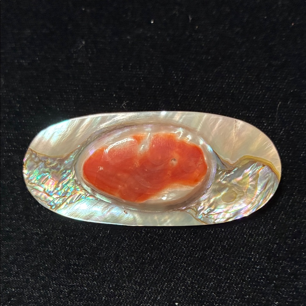 Vintage Iridescent Abalone Shell Brooch with Red Center